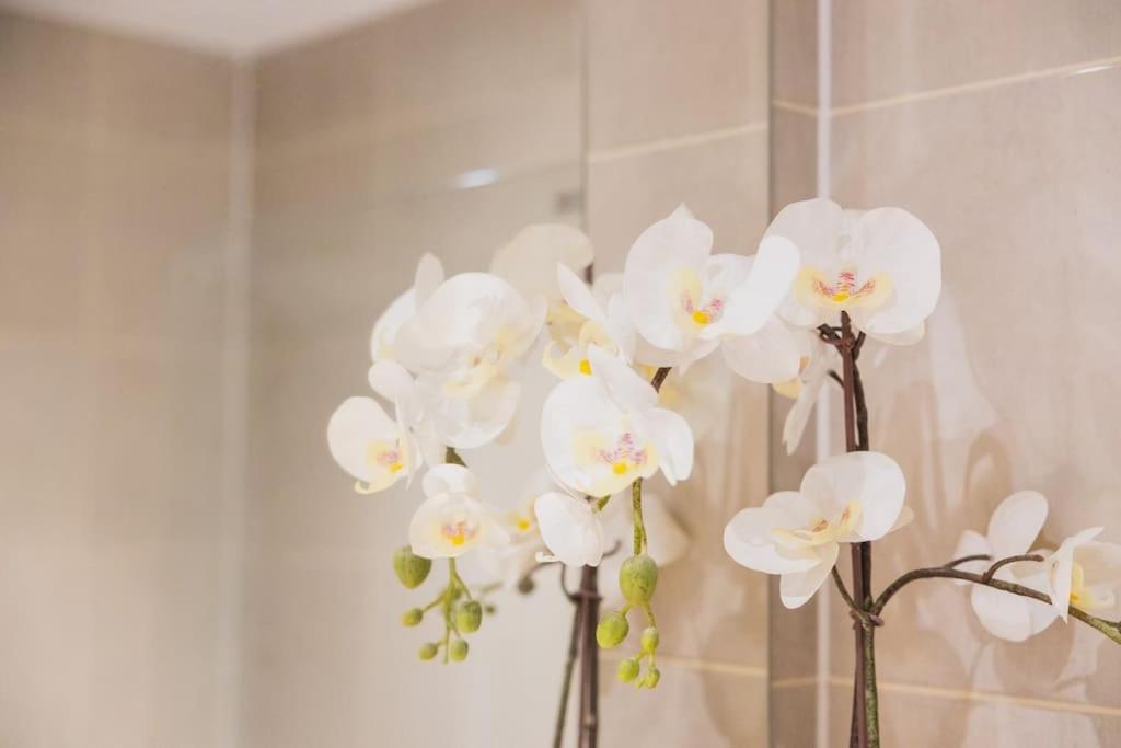 Cosy City Centre Apartment With Parking Birmingham Bagian luar foto